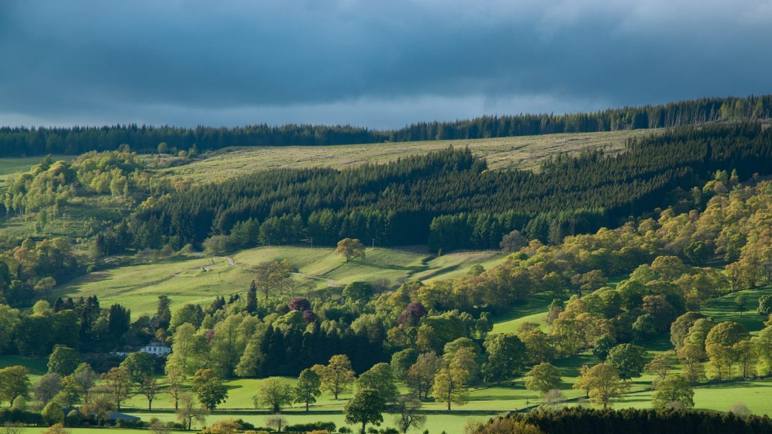 Photo of a sweeping Scottish landscape of rolling green hills and trees, under a moody stormy sky